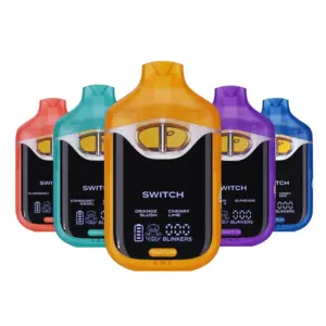 Boutiq Switch 2G Disposable