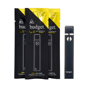 Budget 1G Disposable THC
