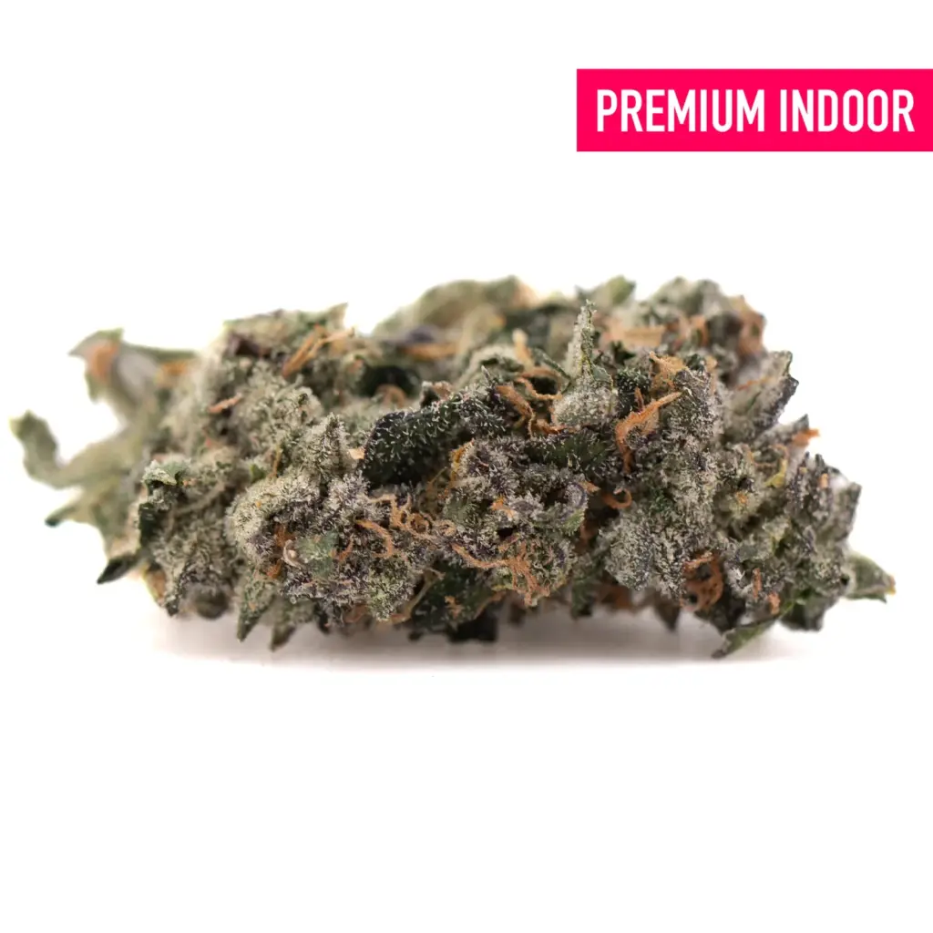 Premium Indoor Flower