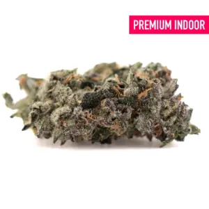 Premium Indoor Flower