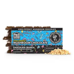 Trehouse Mushroom Chocolate